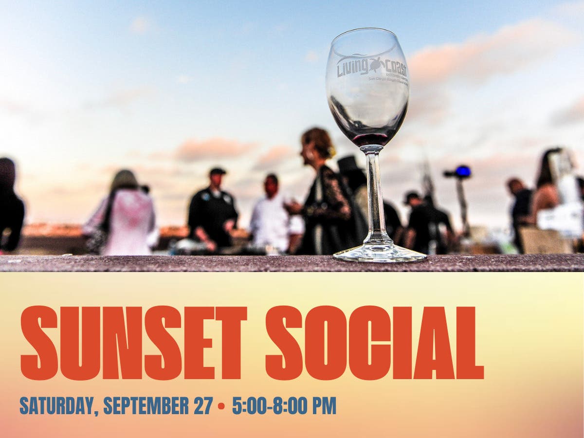 Sunset Social at the Living Coast (21+ Event)