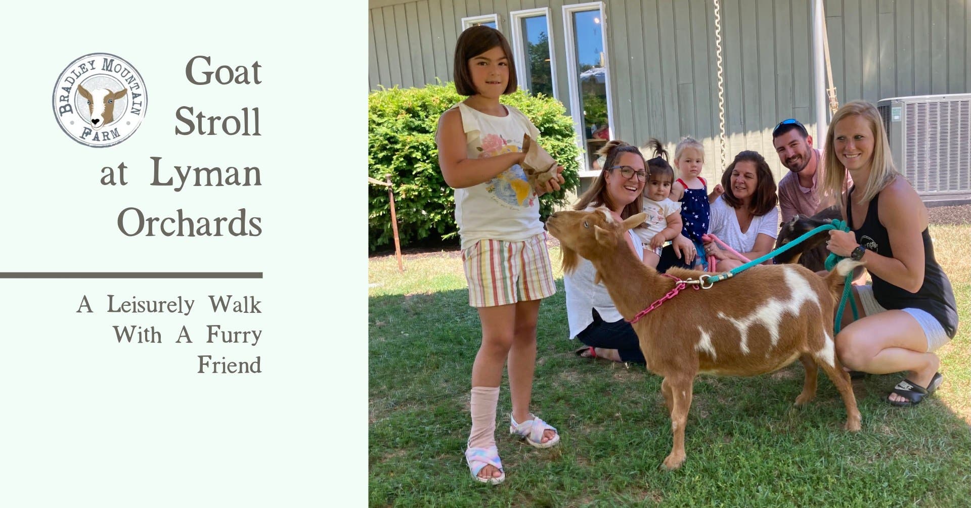 Summer Goat Stroll at Lyman Orchards