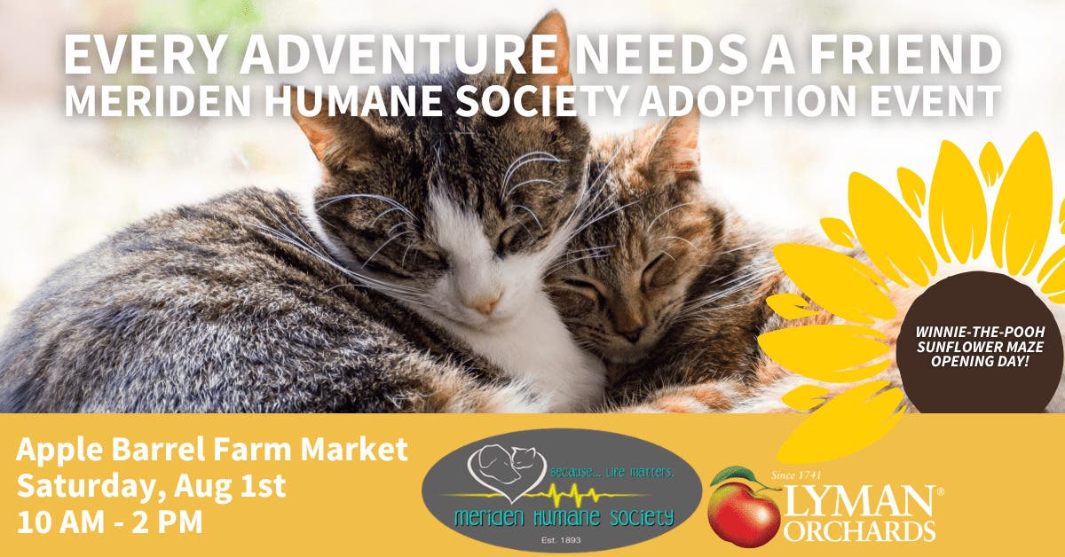 Every Adventure Needs a Friend: Meriden Humane Society Adoption Event at Lyman Orchards