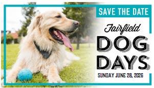 Fairfield Dog Days - Vendors Being Accepted!