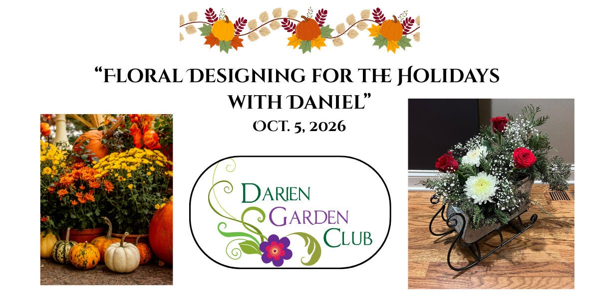 Floral Designing for the Holidays With Daniel