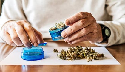  Cannabis & Aging:  An Evidence-Based Educational Workshop
