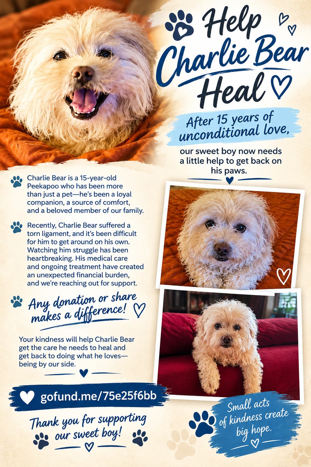 A Beloved Dog’s Painful Injury Has One Local Family Asking for Help
