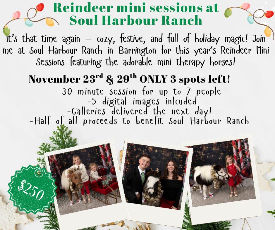 Reindeer Mini Photo Sessions at SOUL Harbour Ranch