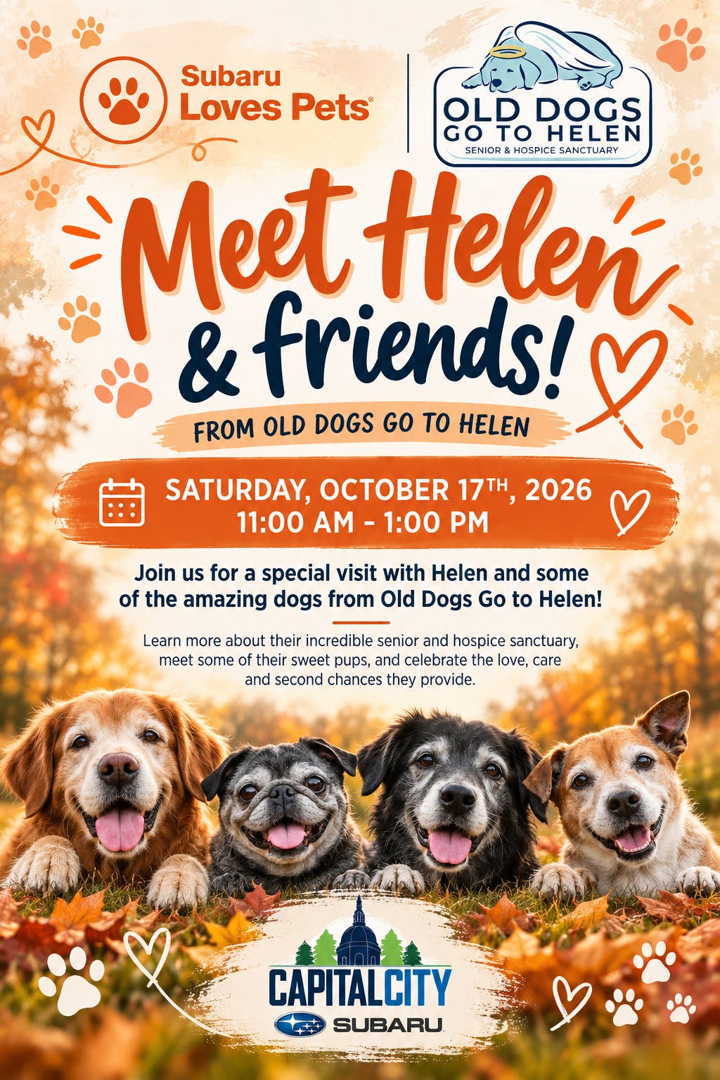 Meet Helen & Friends!