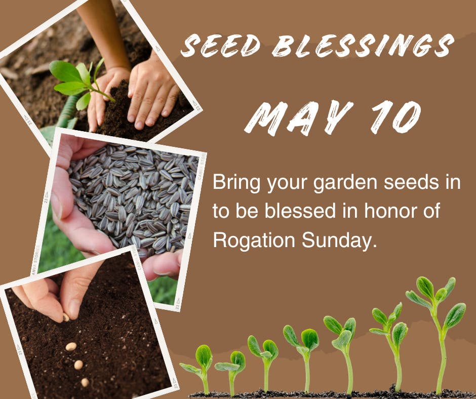 Seed Blessing