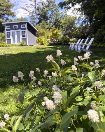 See a Native Garden in Summer Bloom!