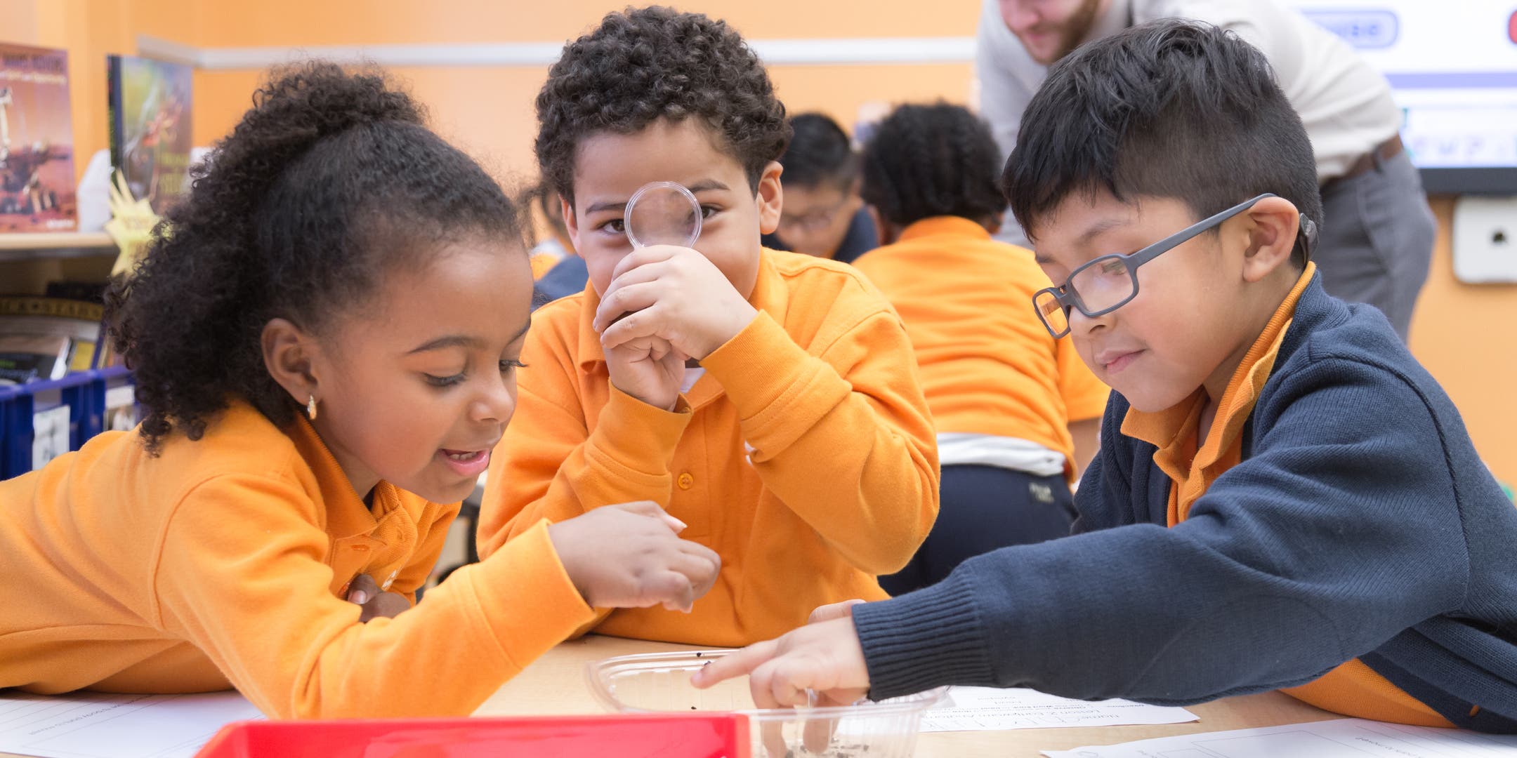 Nov 11 | Success Academy Rosedale In-Person School Tour | Jamaica, NY Patch Nov 11 | Success Academy Rosedale In-Person School Tour | Jamaica, NY Patch