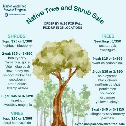 Native Tree and Shrub Sale