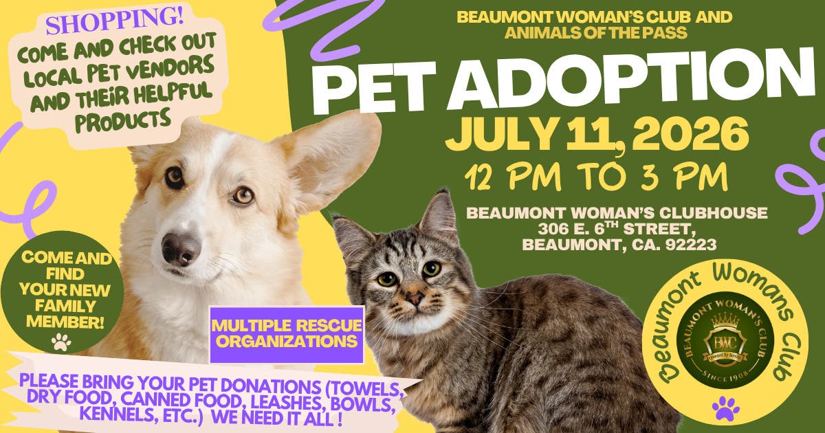 Pet Adoption, Pet Vendor Shopping and Donation Collection