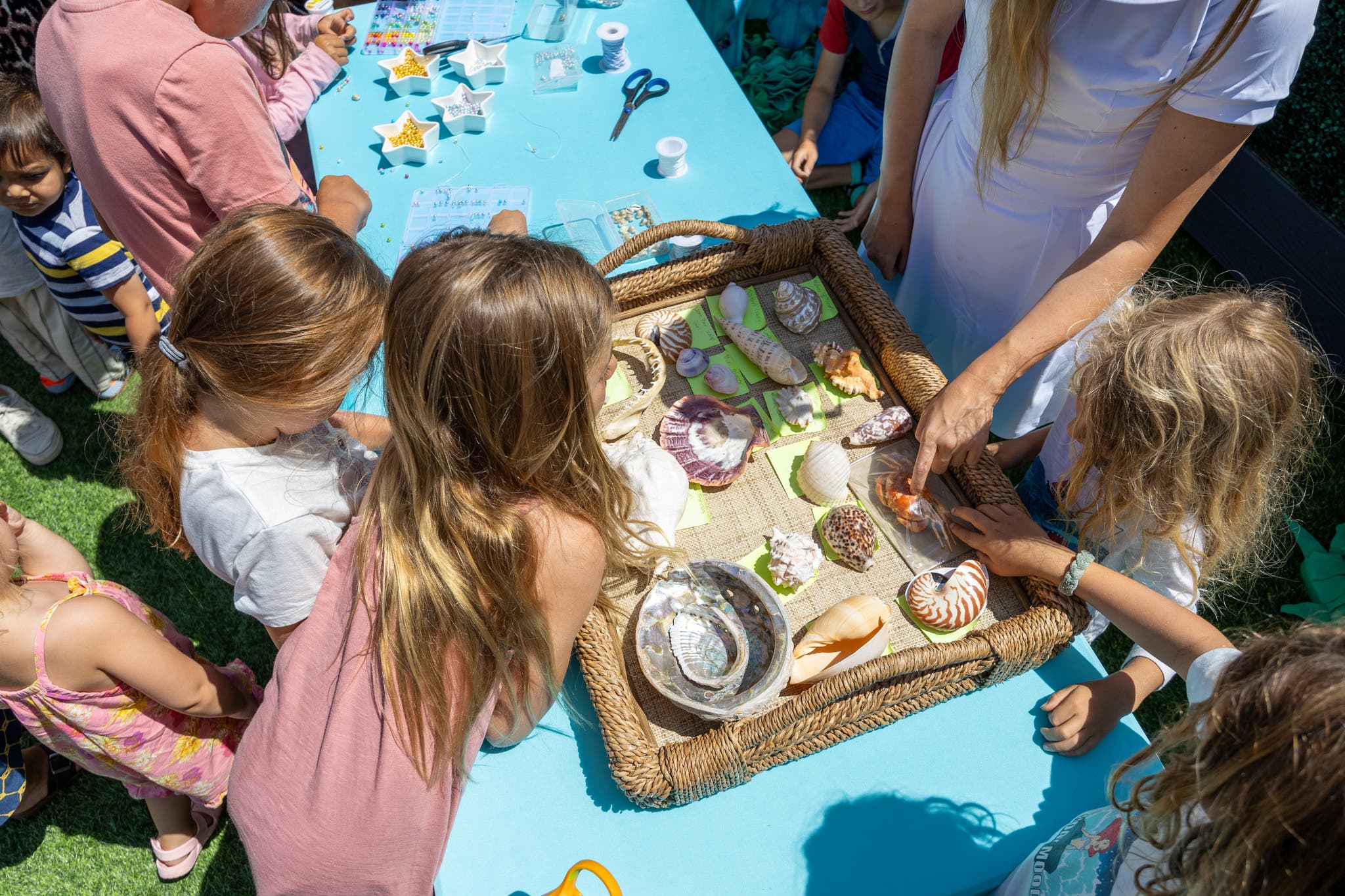 Discovery Days: Songs & Shells of the Sea