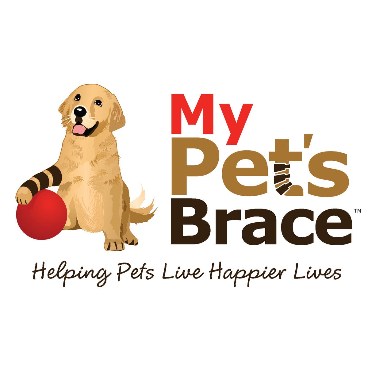 My Pet's Brace