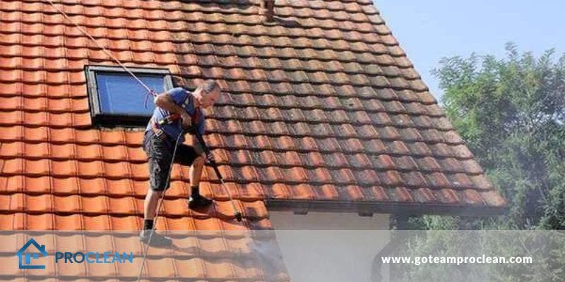 How Often Should You Clean Your Roof Edmonds WA Patch