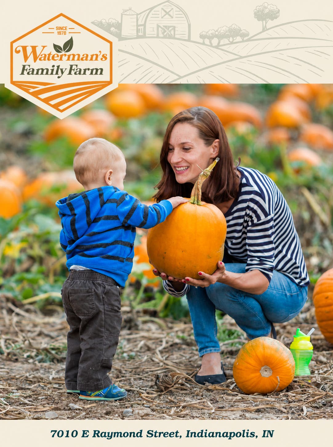 Fall Festival