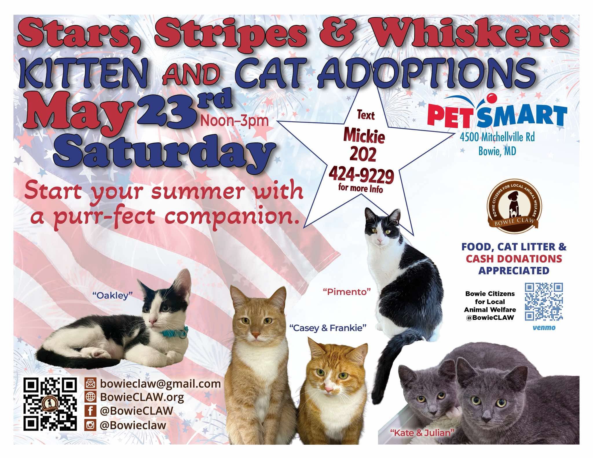 Stars, Stripes & Whiskers Kitten And Cat Adoptions