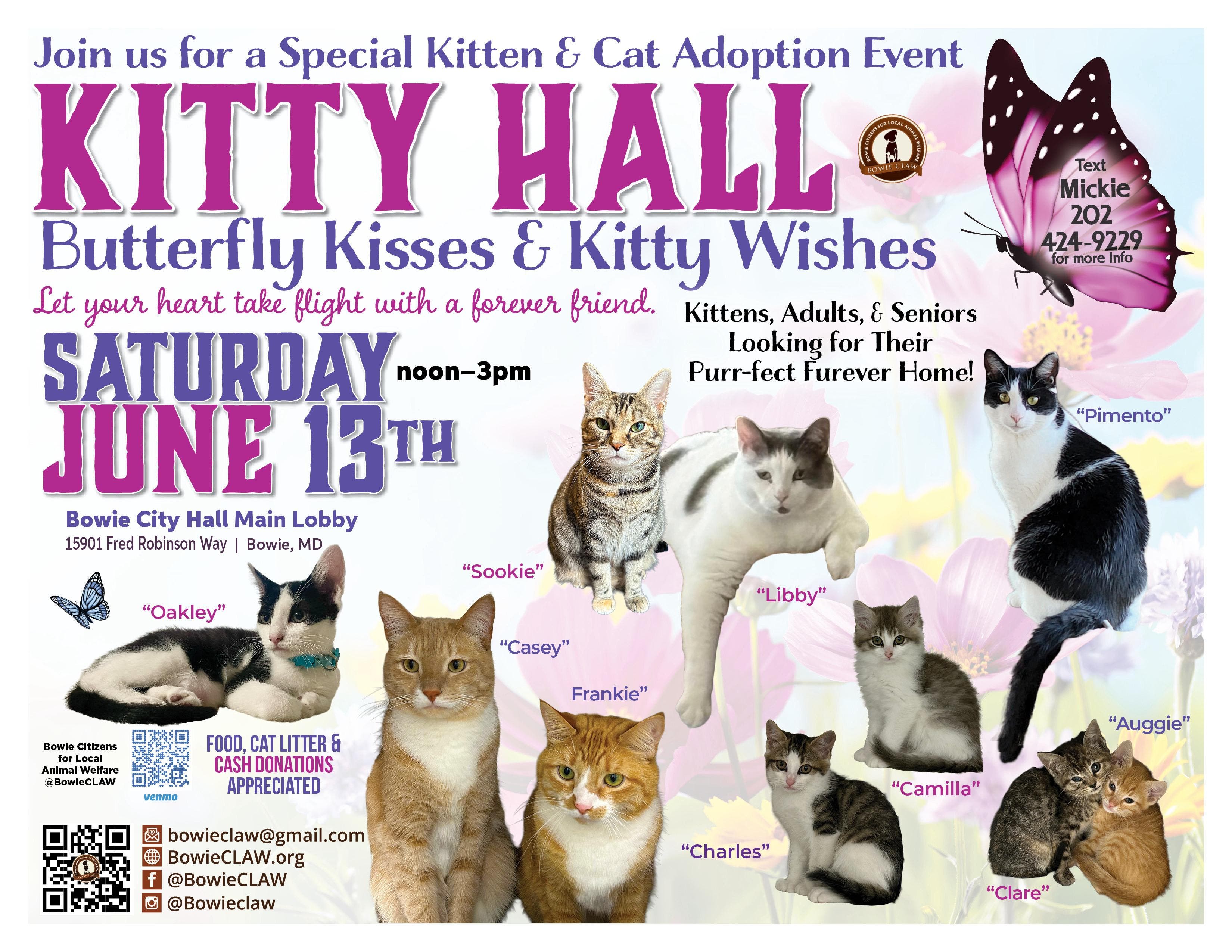 Kitty Hall Butterfly Kisses & Kitty Wishes The largest all rescue event in the DMV area!