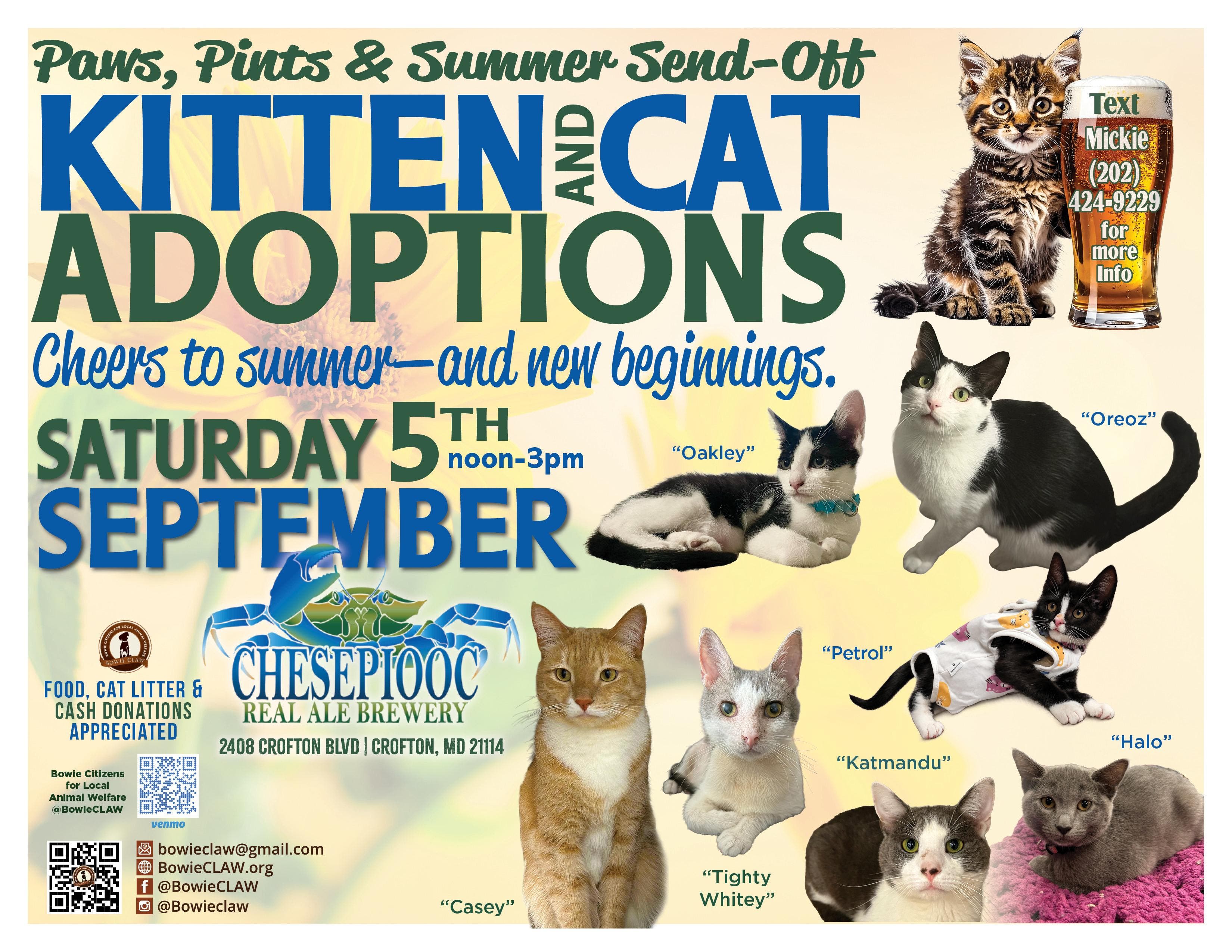 Paws, Pints & Summer Send-Off Kitten and Cat Adoptions