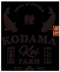Kodama Koi Farm
