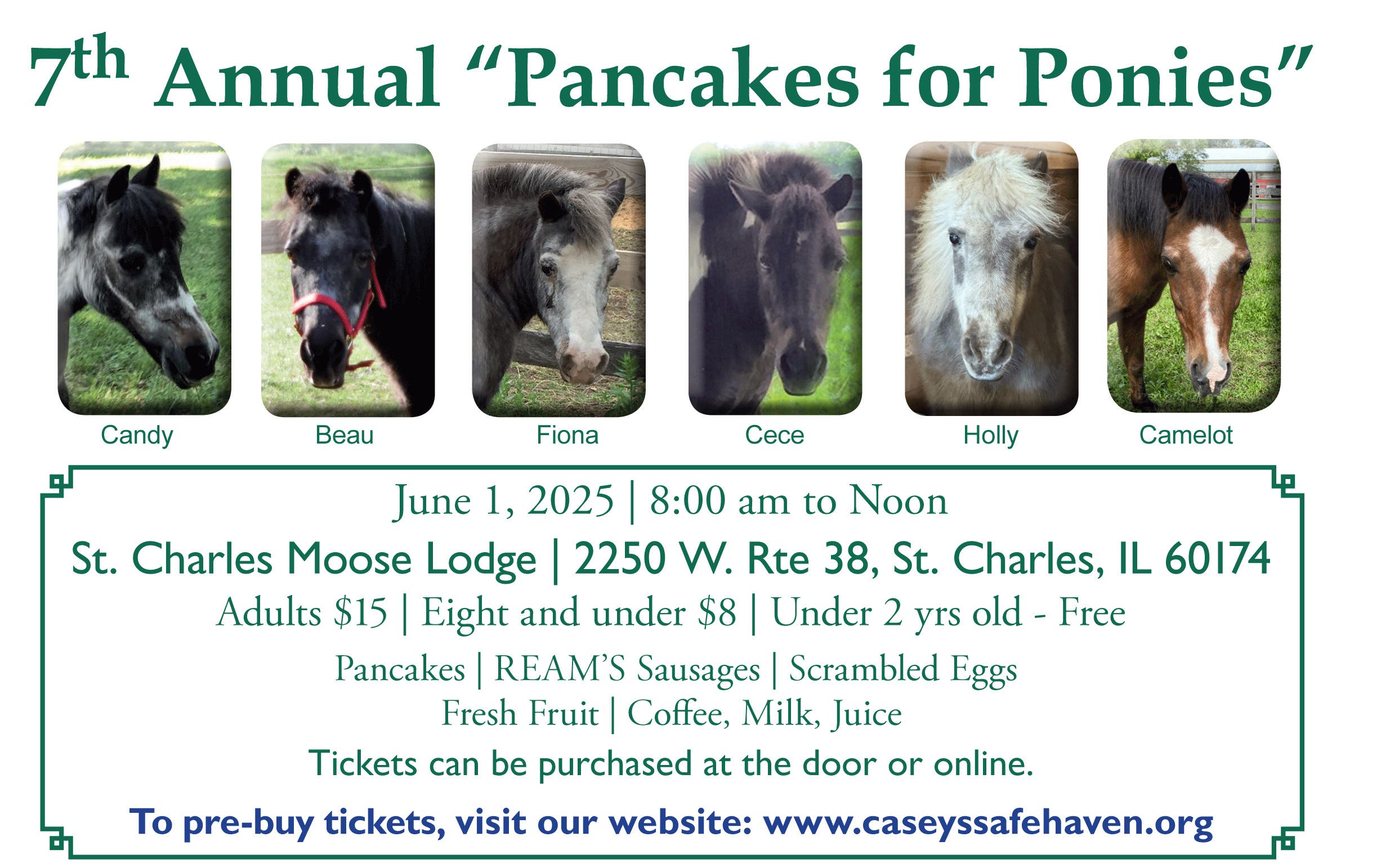 Casey's Safe Haven Horse Rescue Annual Pancakes for Ponies