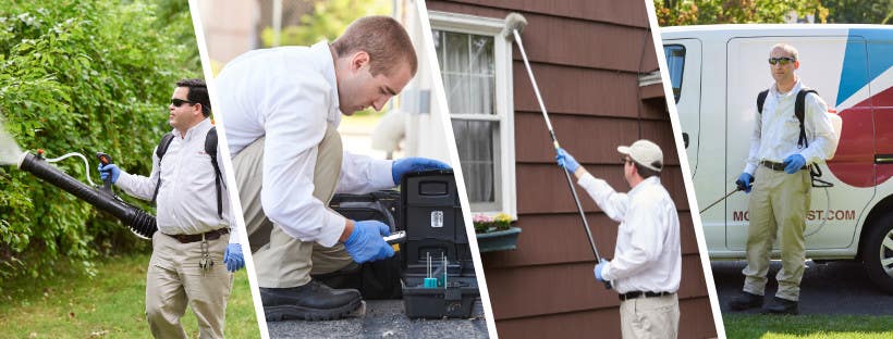 Modern Pest Services