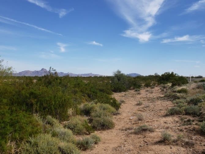 The Butterfield Overland Trail, traversing remote landscapes allowed the transport of mail and passengers between the eastern termini of St. Louis to California.