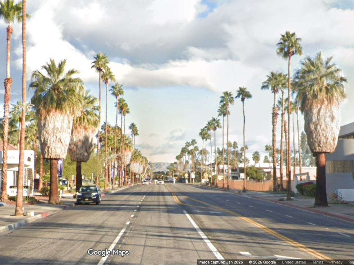 Palm Canyon Drive Palm Trees.