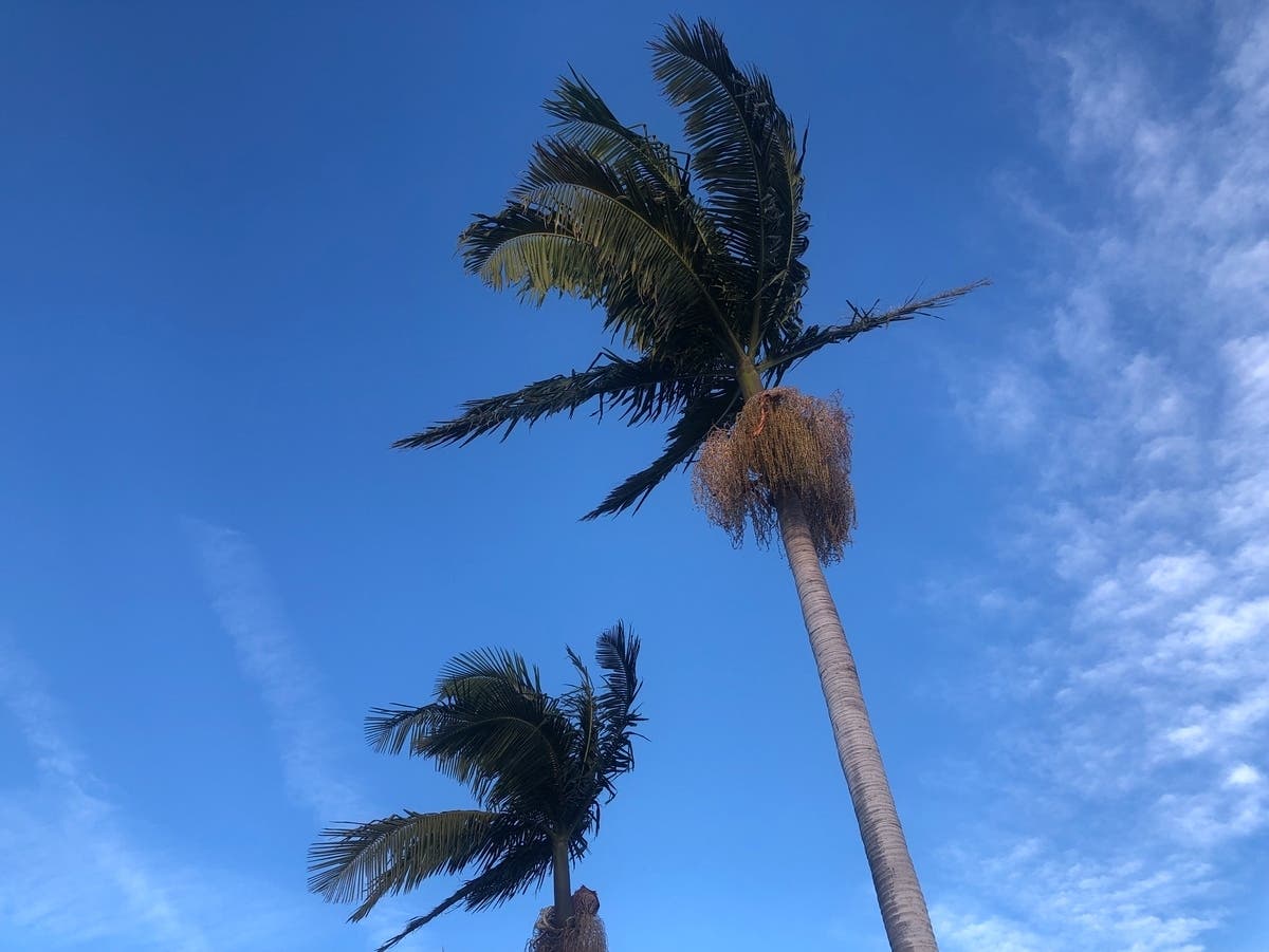 A high wind warning will be in effect from 6 a.m. Thursday, Oct. 15, 2026 to 8 p.m. Saturday, Oct. 17, 2026, according to the National Weather Service.