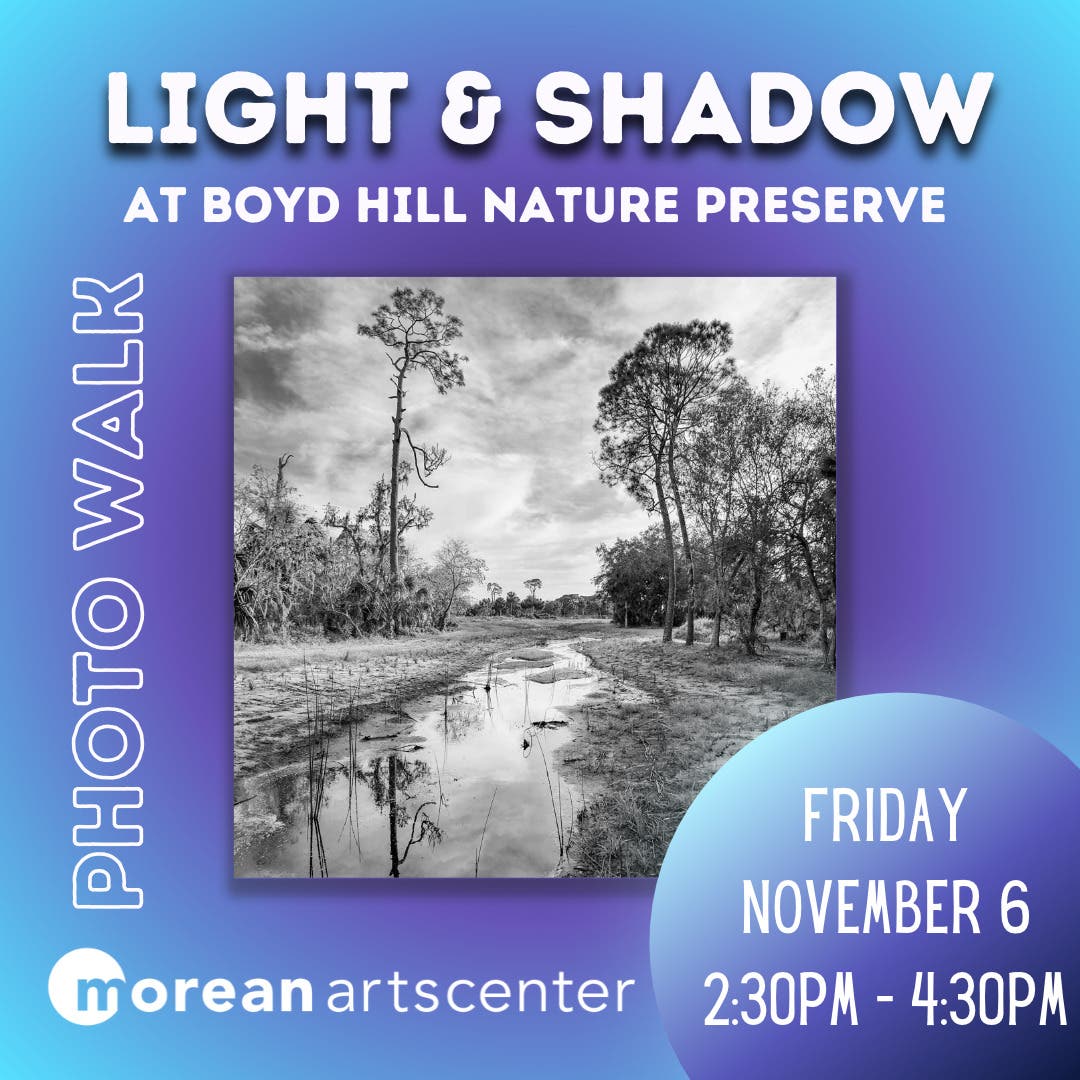Light & Shadow: A Photo Walk at Boyd Hill Nature Preserve