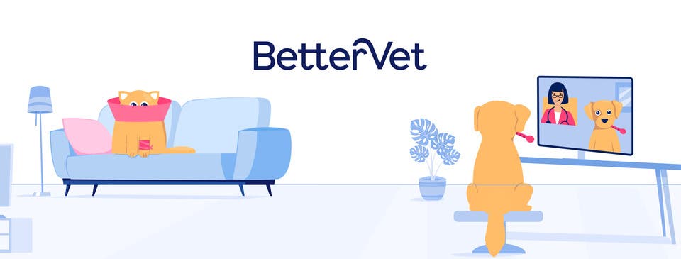 BetterVet Chicago, Mobile Vet Care