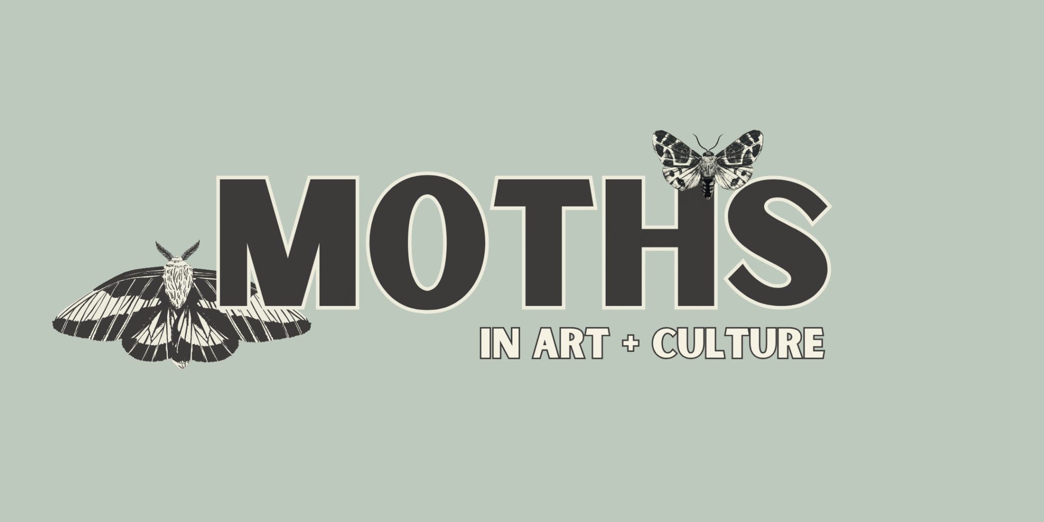 Moths in Art + Culture: Presentation and Dance Performance