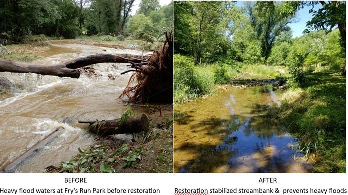 Stream Team 2026: Mill Race Park, Braden Park