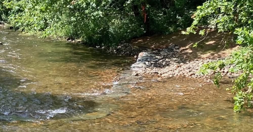 Wildlands Conservancy – Bushkill Creek Bike Ride