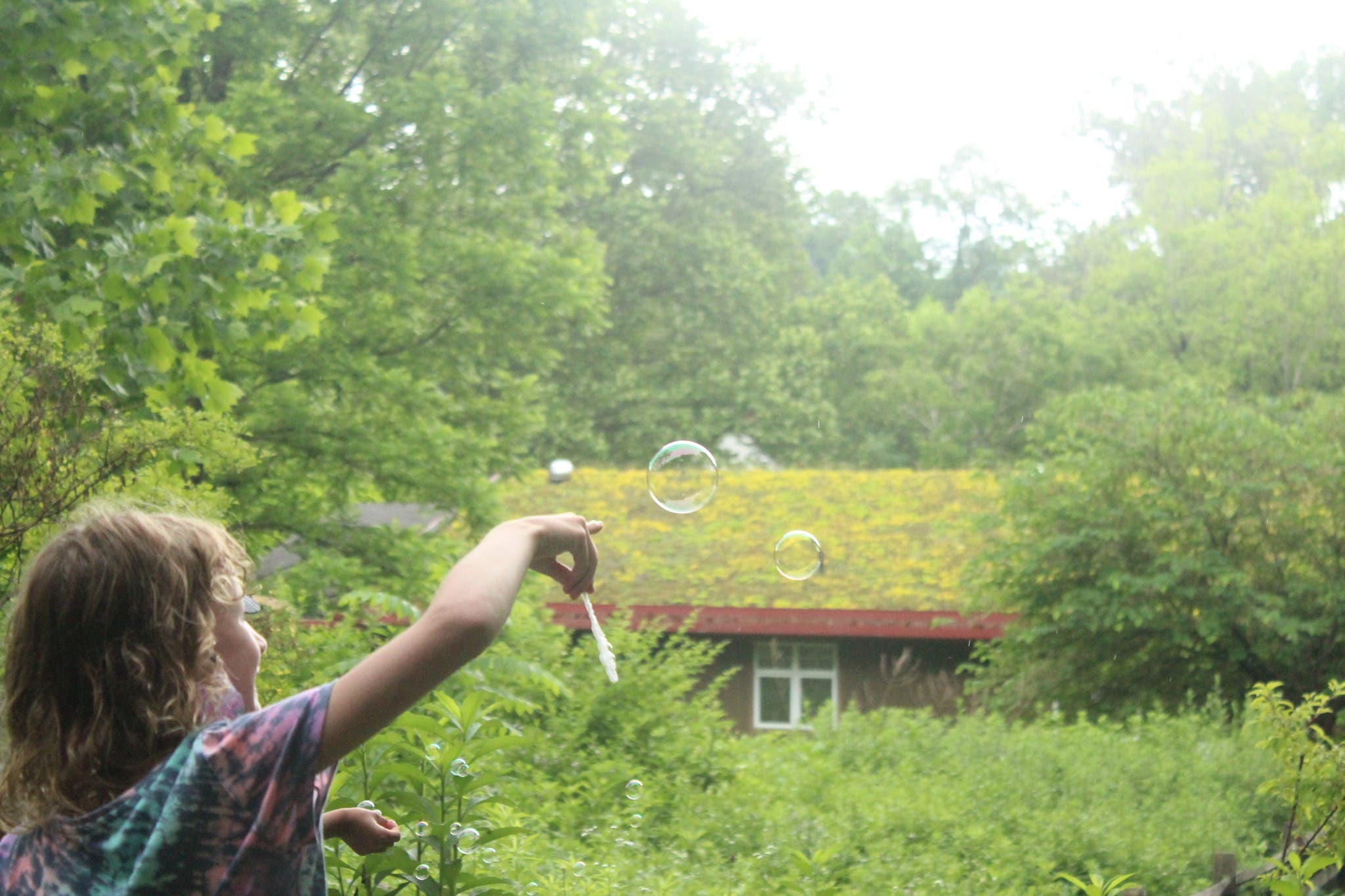 Wildlands Conservancy – NEW: Explorer Day Camps