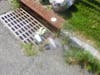 Name one place where plastic and plastic pieces, can not be found?  Heading for your local waterway. Many stormdrains are not upgraded and have a wide entrance.