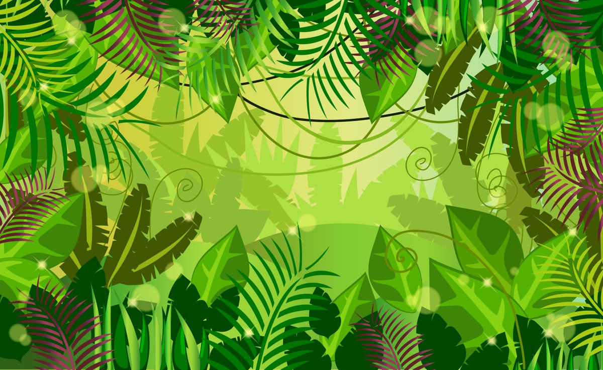 Jungle Studios Inc.