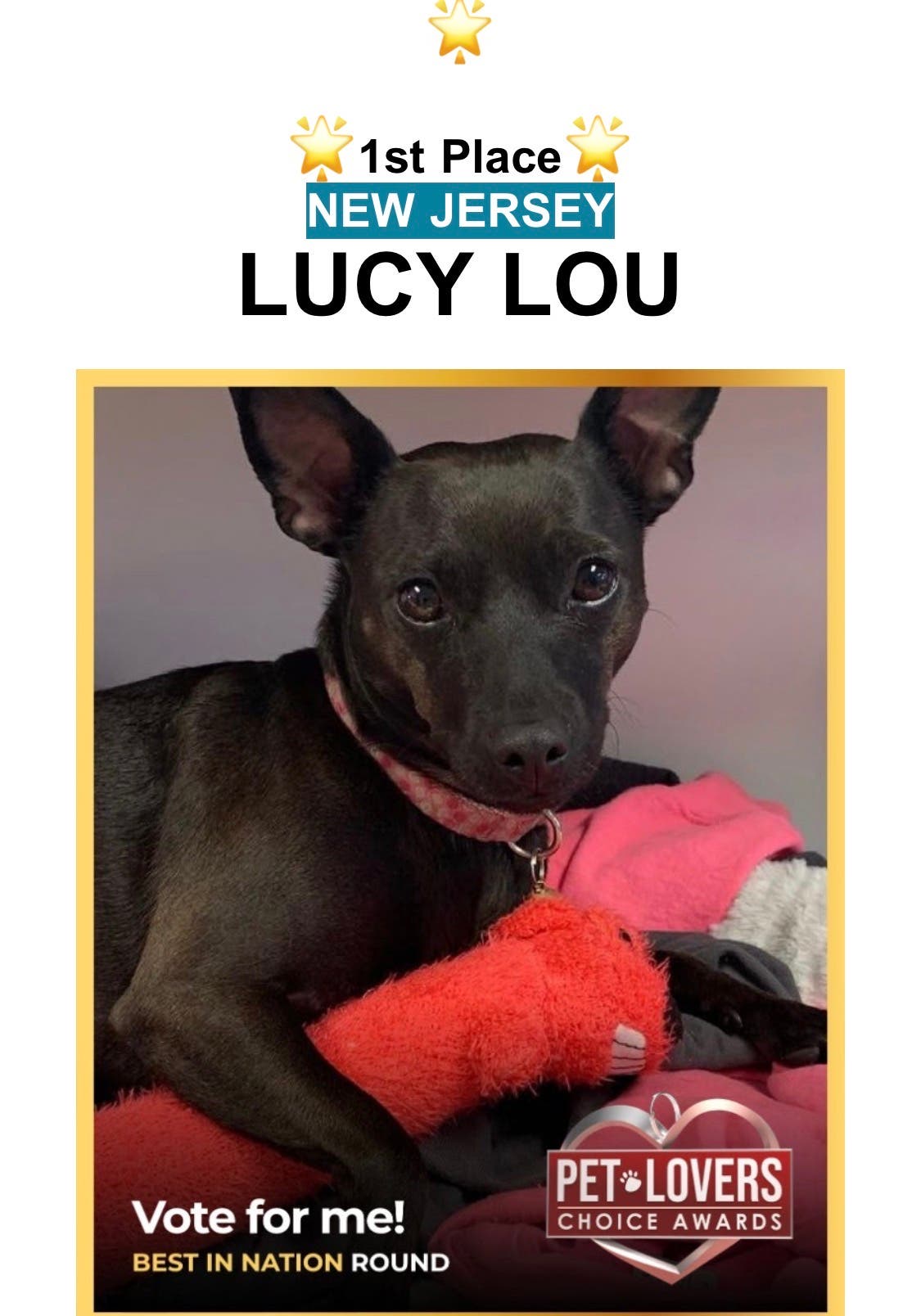 New Jersey state winner Lucy lou vote for me to win the national