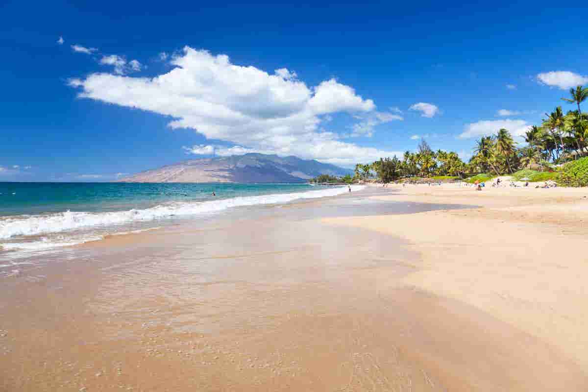 AA Oceanfront Rentals and Sales