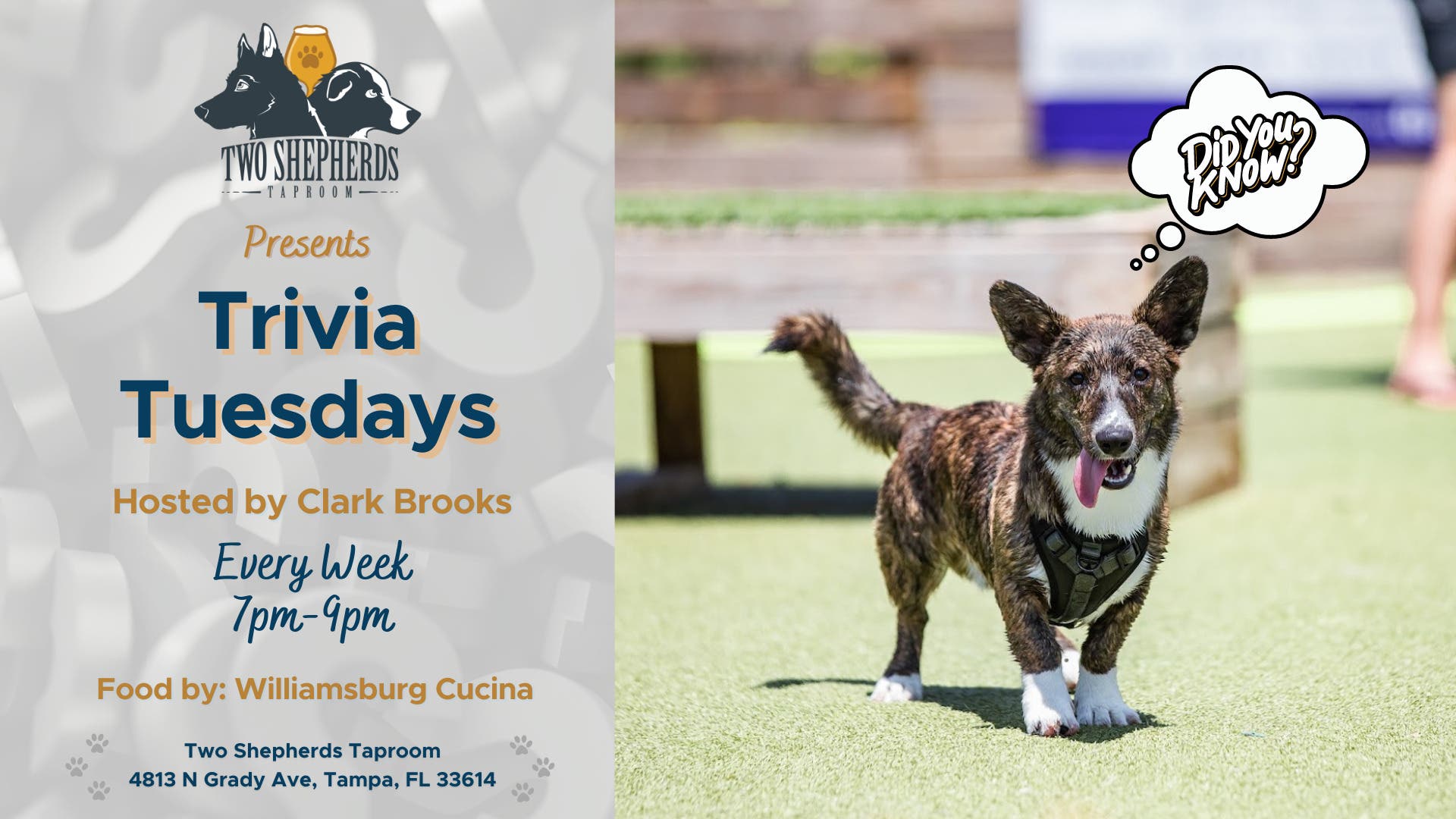 Apr 25 Trivia Night At Two Shepherds Taproom Tampa FL Patch