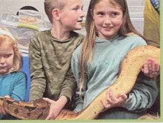 Snakes!