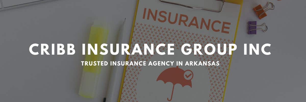 Cribb Insurance Group Inc