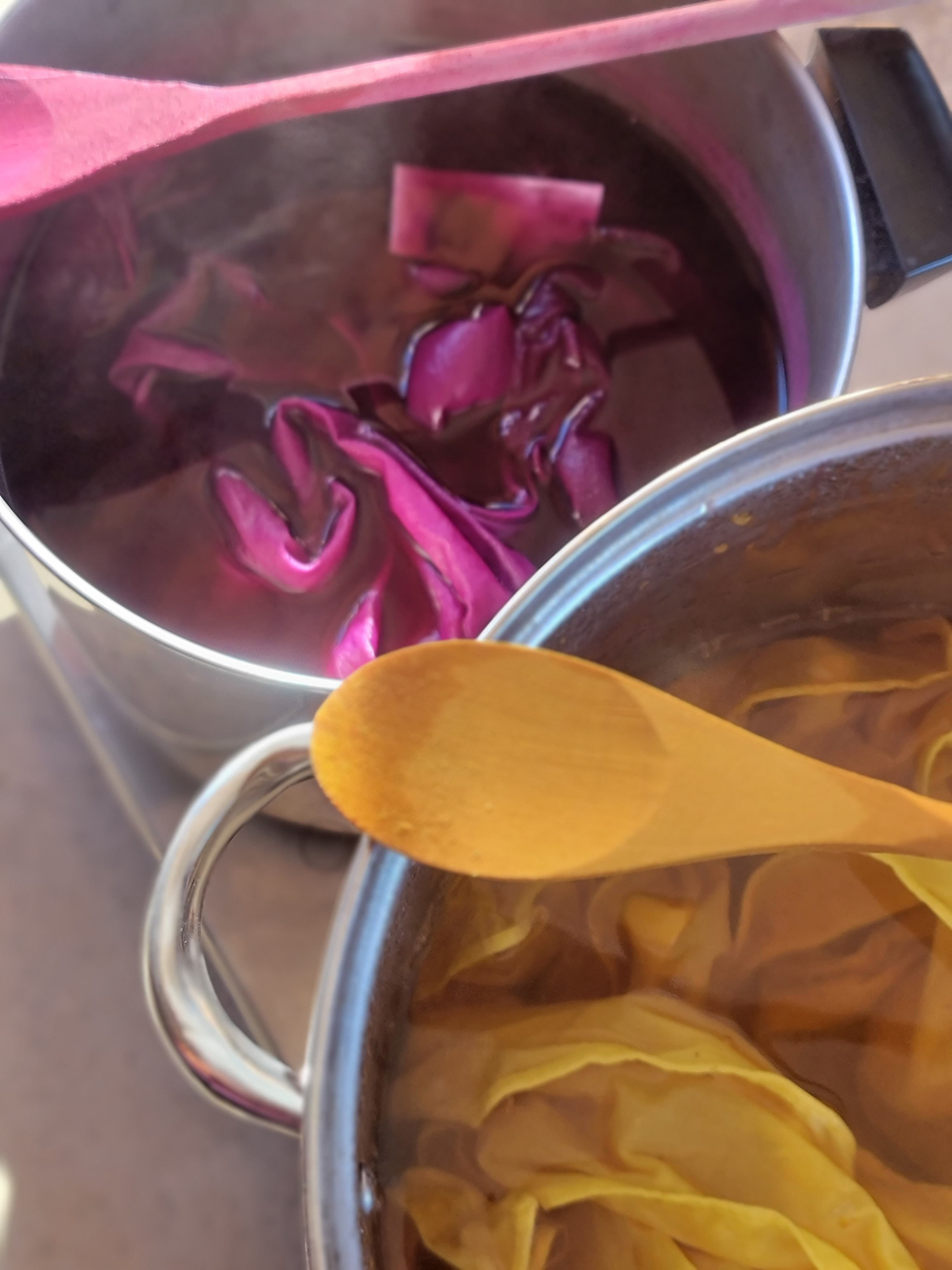 Intro to Natural Dye & Shibori Workshop