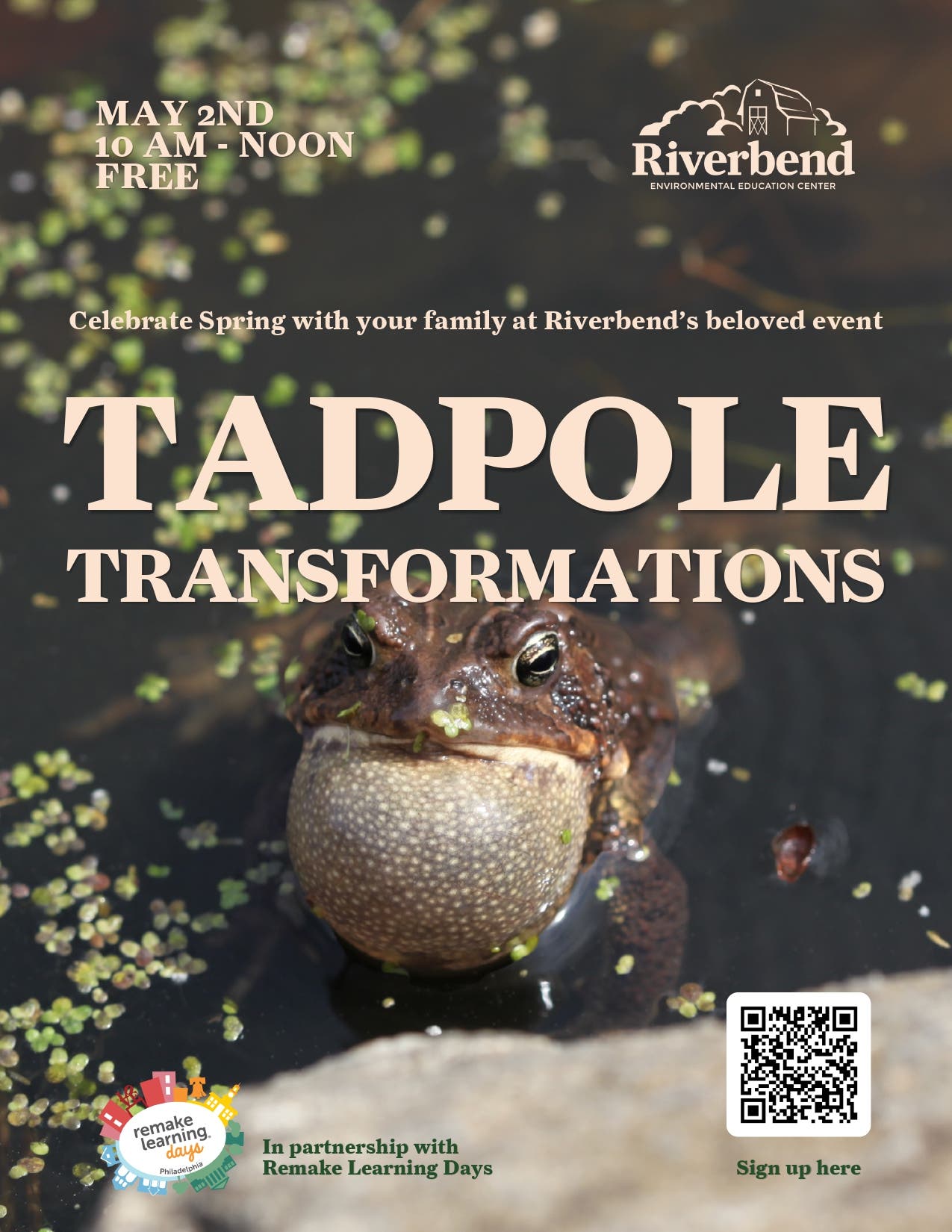 Riverbend's Tadpole Transformations