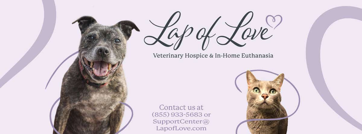 Lap of Love Veterinary Hospice & In-Home Euthanasia