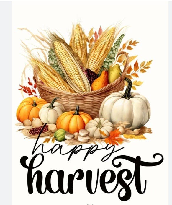 Fountainhead Montessori School Livermore - Harvest Festival
