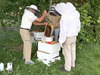 Dr Vince Aloyo demonstrates a complete hive inspection and testing to some members of 2022 Bucks County Beekeepers Association Intermediate Class