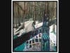 Into the Mystic, by HCC art professor, John Favret.