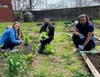 Housatonic Community College students plant vegetables and install solar lighting in the College’s community garden.