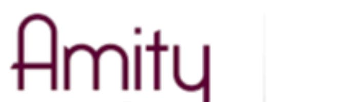 Amity Law Group, LLP