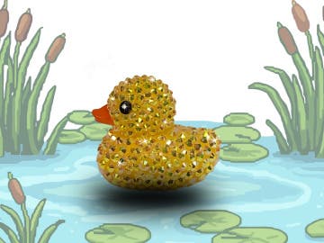 Dazzling Ducks