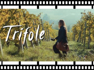 Must See Movie: Trifole